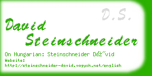 david steinschneider business card